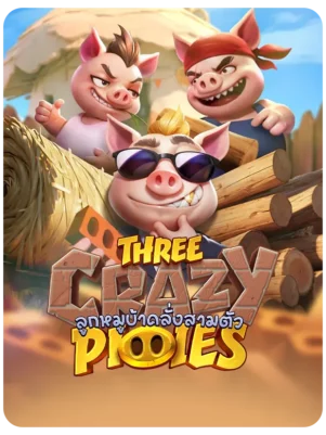 Three Crazy Piggies